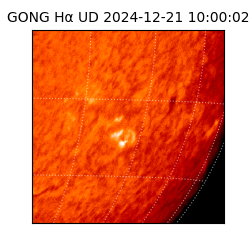 gong - 2024-12-21T10:00:02