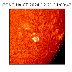 gong - 2024-12-21T11:00:42