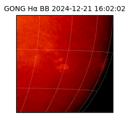 gong - 2024-12-21T16:02:02