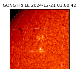 gong - 2024-12-21T01:00:42
