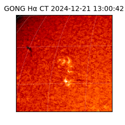gong - 2024-12-21T13:00:42