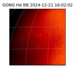 gong - 2024-12-21T16:02:02