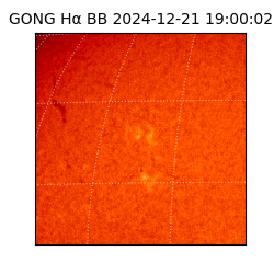 gong - 2024-12-21T19:00:02