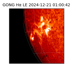 gong - 2024-12-21T01:00:42