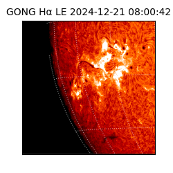 gong - 2024-12-21T08:00:42