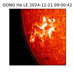 gong - 2024-12-21T09:00:42