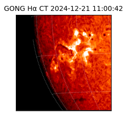 gong - 2024-12-21T11:00:42