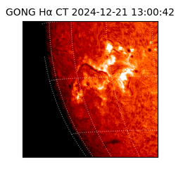 gong - 2024-12-21T13:00:42