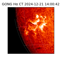 gong - 2024-12-21T14:00:42