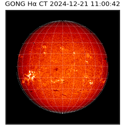 gong - 2024-12-21T11:00:42