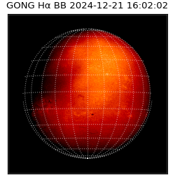 gong - 2024-12-21T16:02:02