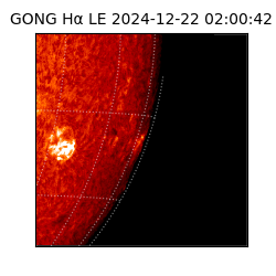 gong - 2024-12-22T02:00:42