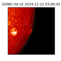 gong - 2024-12-22T03:00:42