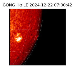 gong - 2024-12-22T07:00:42