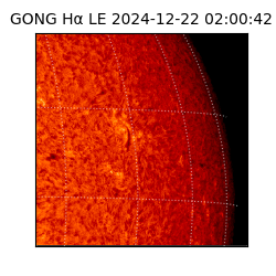 gong - 2024-12-22T02:00:42