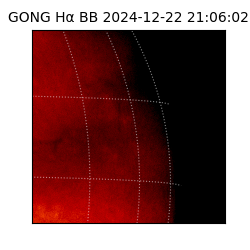 gong - 2024-12-22T21:06:02