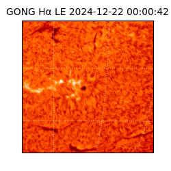 gong - 2024-12-22T00:00:42