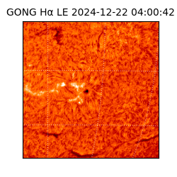 gong - 2024-12-22T04:00:42