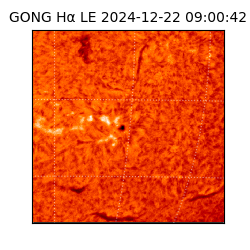 gong - 2024-12-22T09:00:42