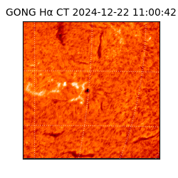 gong - 2024-12-22T11:00:42