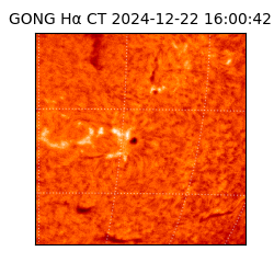 gong - 2024-12-22T16:00:42
