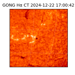gong - 2024-12-22T17:00:42
