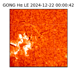 gong - 2024-12-22T00:00:42