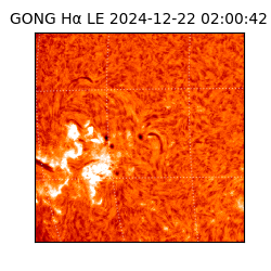 gong - 2024-12-22T02:00:42
