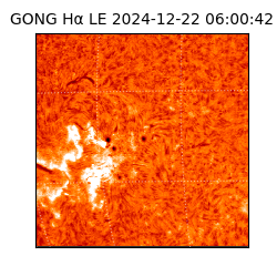 gong - 2024-12-22T06:00:42