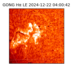 gong - 2024-12-22T04:00:42
