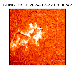 gong - 2024-12-22T09:00:42