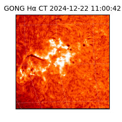 gong - 2024-12-22T11:00:42