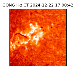 gong - 2024-12-22T17:00:42