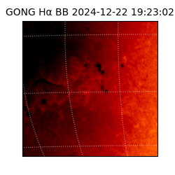 gong - 2024-12-22T19:23:02