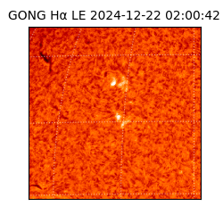 gong - 2024-12-22T02:00:42