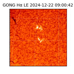 gong - 2024-12-22T09:00:42