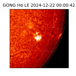 gong - 2024-12-22T00:00:42