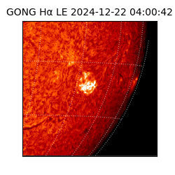 gong - 2024-12-22T04:00:42