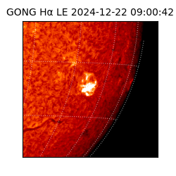 gong - 2024-12-22T09:00:42