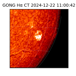 gong - 2024-12-22T11:00:42
