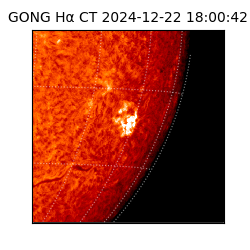 gong - 2024-12-22T18:00:42