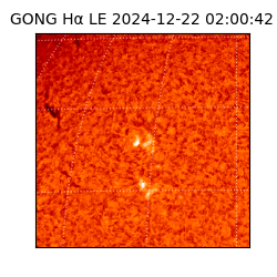 gong - 2024-12-22T02:00:42