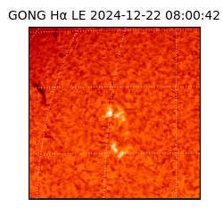 gong - 2024-12-22T08:00:42