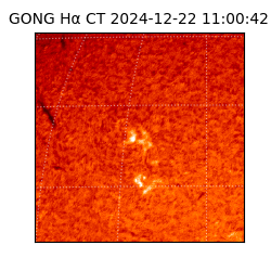 gong - 2024-12-22T11:00:42