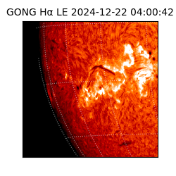 gong - 2024-12-22T04:00:42