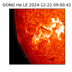gong - 2024-12-22T09:00:42