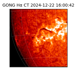 gong - 2024-12-22T16:00:42