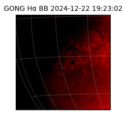 gong - 2024-12-22T19:23:02