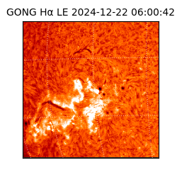 gong - 2024-12-22T06:00:42