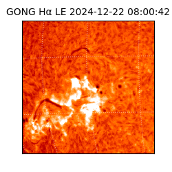 gong - 2024-12-22T08:00:42